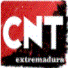 CNT Cáceres programa una agenda monográfica sobre la enseñanza